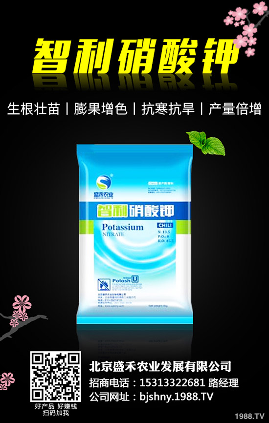 �ڶ�ʲô�r(sh��)��Nֲ���ڶ��ķNֲҪ�c(di��n)����Щ��