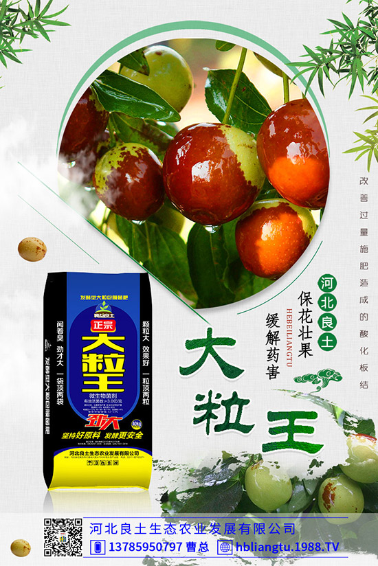 甜瓜落花落果原因有哪些？甜瓜如何提高座果率？