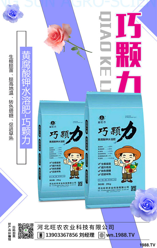 ���؃r(ji��)�����һ�ܣ��r(ji��)���»�������2019-11-13���س��S�r(ji��)���A(y��)��(b��o)��