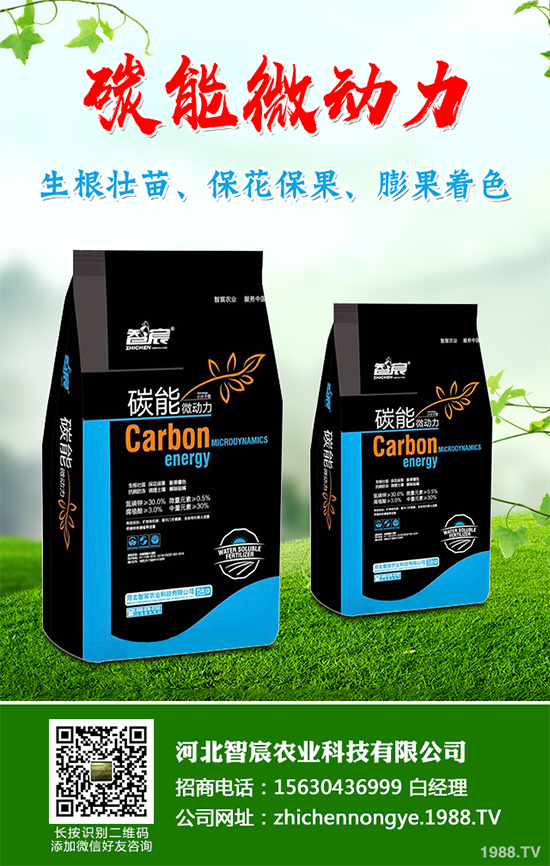 ���������߲˷Nֲԓע��ʲô����ӛ�e�M(j��n)�@�����`�^(q��)