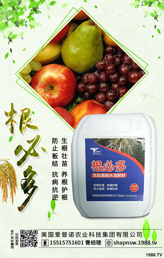 ������ô�������ܸ߮a(ch��n)�����Ӹ߮a(ch��n)�ߴ������ʩ