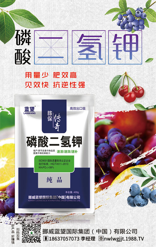 �t�����ֵĠI(y��ng)�B(y��ng)��ʳ�Ãr(ji��)ֵ��������x������