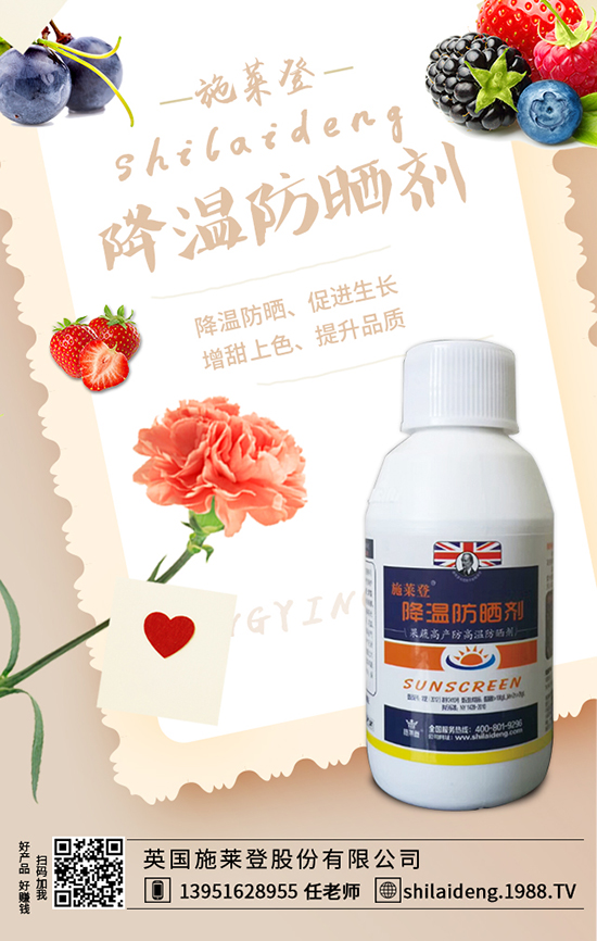 Ӣ��ʩ�R�ǹɷ����޹�˾2