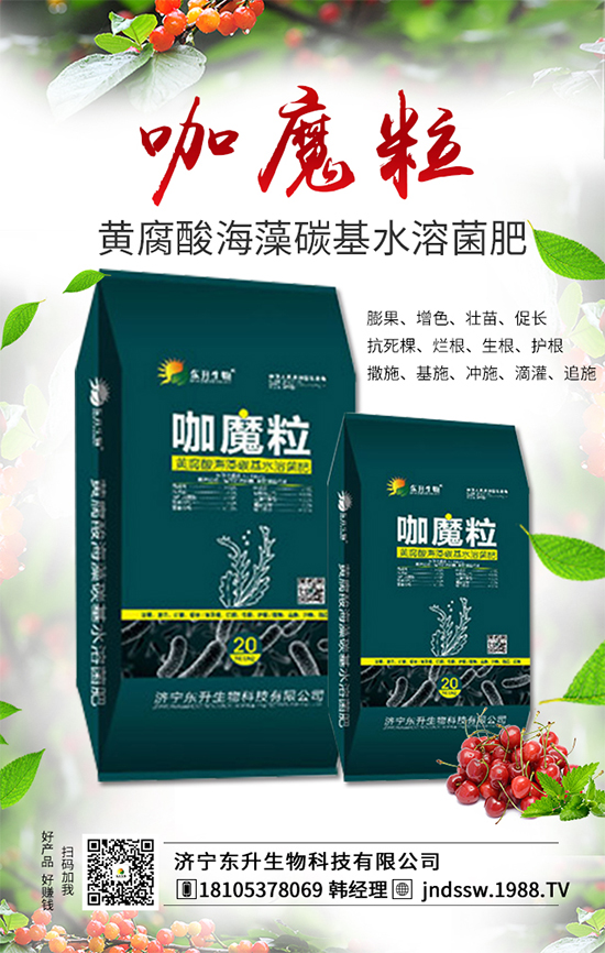 大棚草莓旺長的原因，大棚草莓旺長解決措施