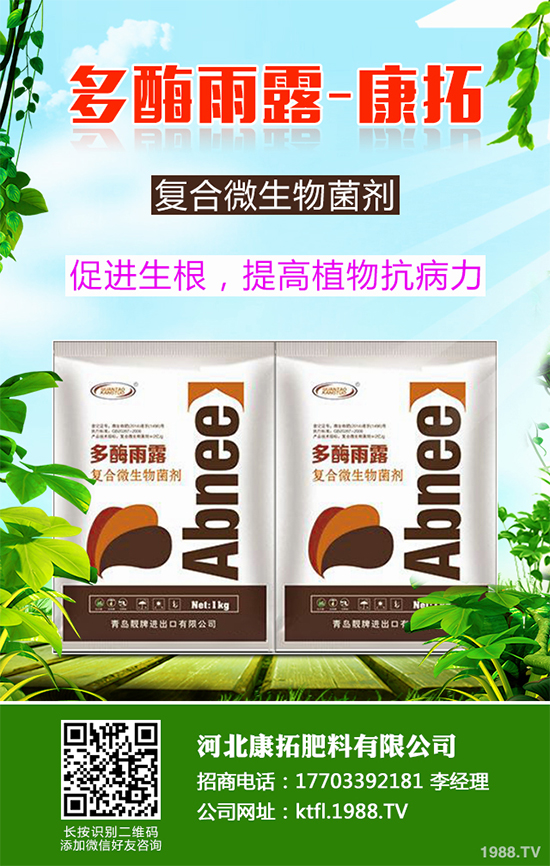 11月份農(nóng)事安排有哪些？2019秋冬蔬菜種植指南