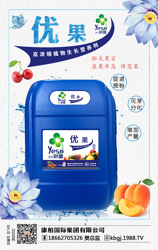 康柏國際集團有限公司