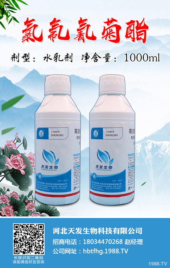 小麥吸漿蟲危害有多大？小麥吸漿蟲防控技術！