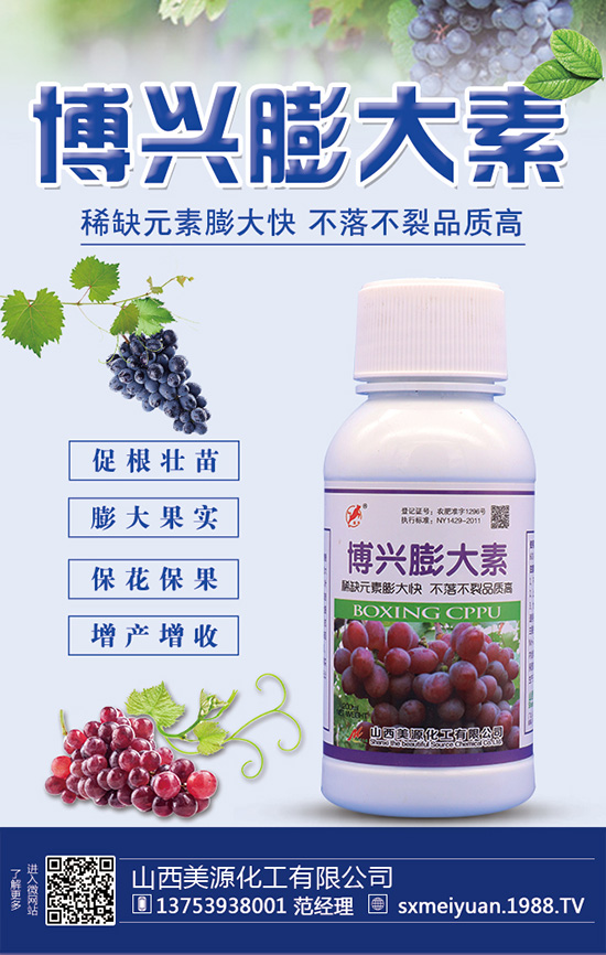 ɽ����Դ�������޹�˾