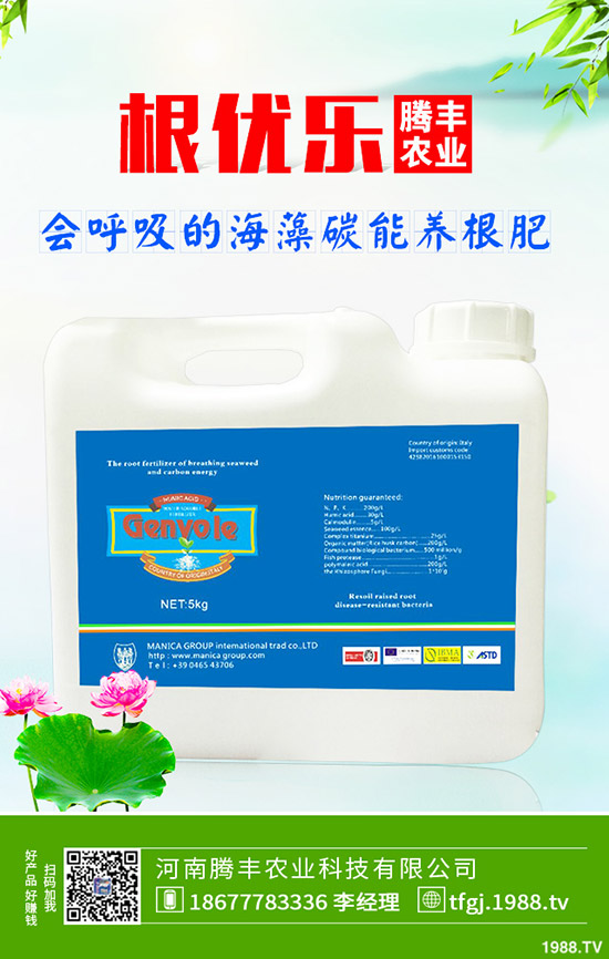 ʯ��ְ߲���(d��o)�°l(f��)�S���~��ô�k��ʯ��ְ߲��ķ���Ҫ�c(di��n)��