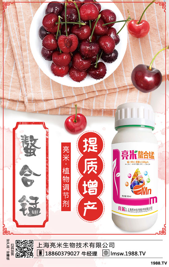 黃秋葵有哪些營養(yǎng)價(jià)值？黃秋葵高產(chǎn)栽培技術(shù)