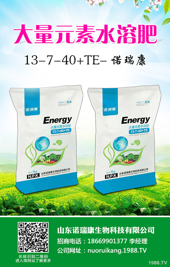 2020年大蒜價(jià)格行情怎么樣？賺錢不？種植面積會(huì)增大么？