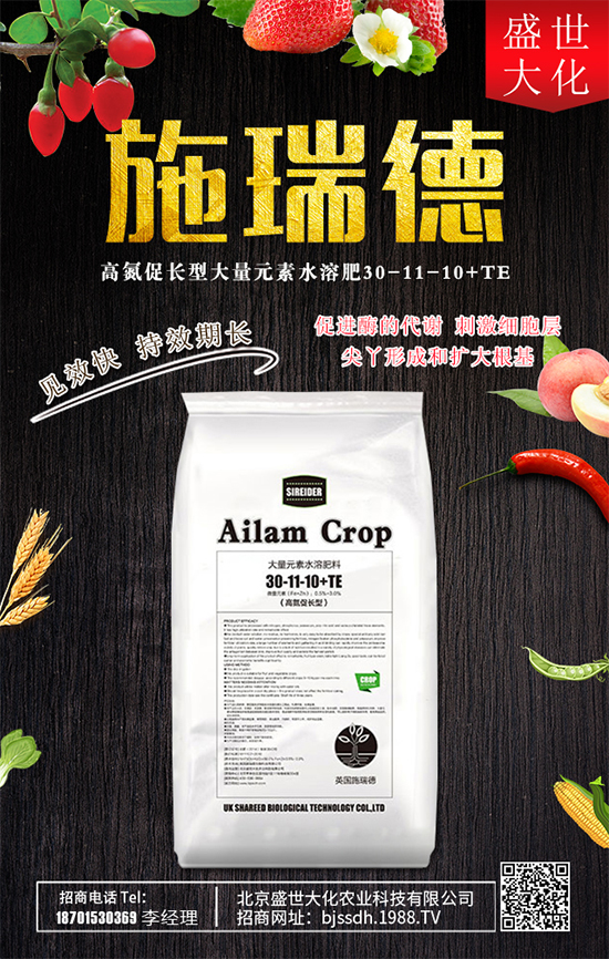 ʯ����ʲô�I�B(y��ng)�rֵ��ʯ������Щʳ�ù�Ч��