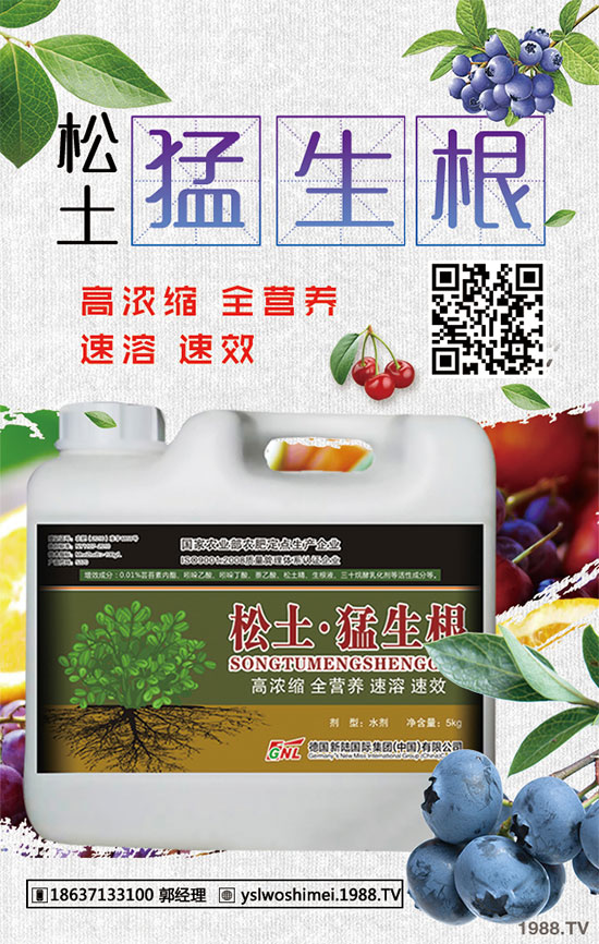 ��������Щ��Ч�����������ӵ�ʳ�ý�����