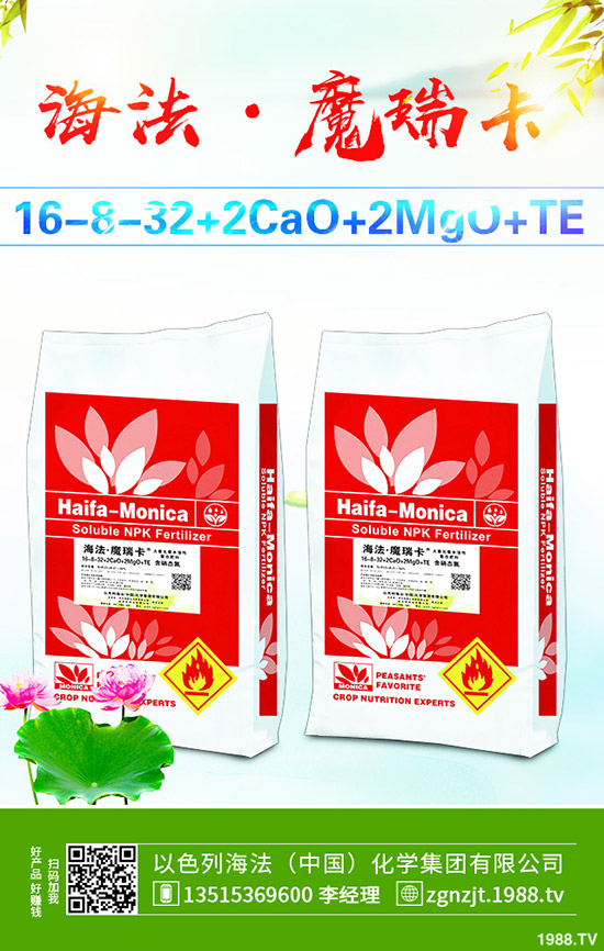     ����������D(zhu��n)��2019��11��27�ո��؅^(q��)�����������S��r