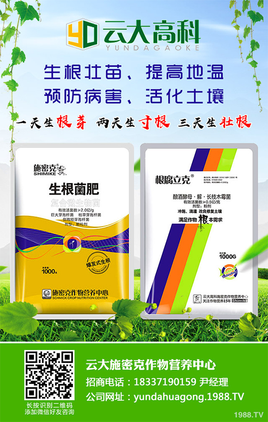 ��������ֲ��Ƥ�Ɇ�����Ƥ�ɶ�����ֲ����