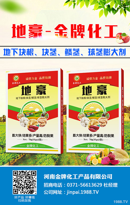 菠菜什么時候種更合適？菠菜種植技術(shù)和時間！