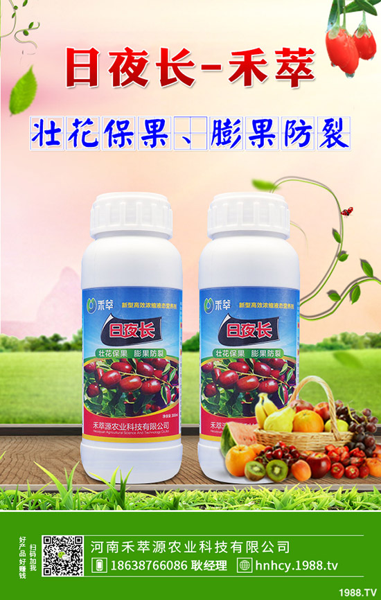 菠菜炭疽病的病因有哪些？菠菜炭疽病的防治要點(diǎn)！