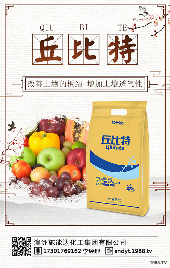 2019.11.29����⛷ʃr�������߄ݾC���A�y