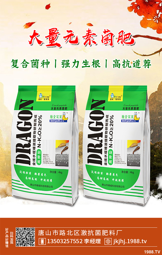 白皮松移栽后枯黃是咋回事？該怎么解決？快來看看吧