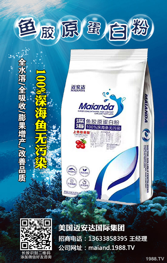     干辣椒價(jià)格多少錢一斤？2020年干辣椒行情如何？