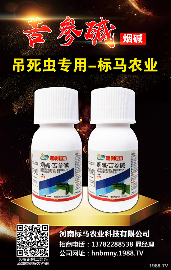 �������x��Σ���Y��l(f��)���l������������Щ���η�����