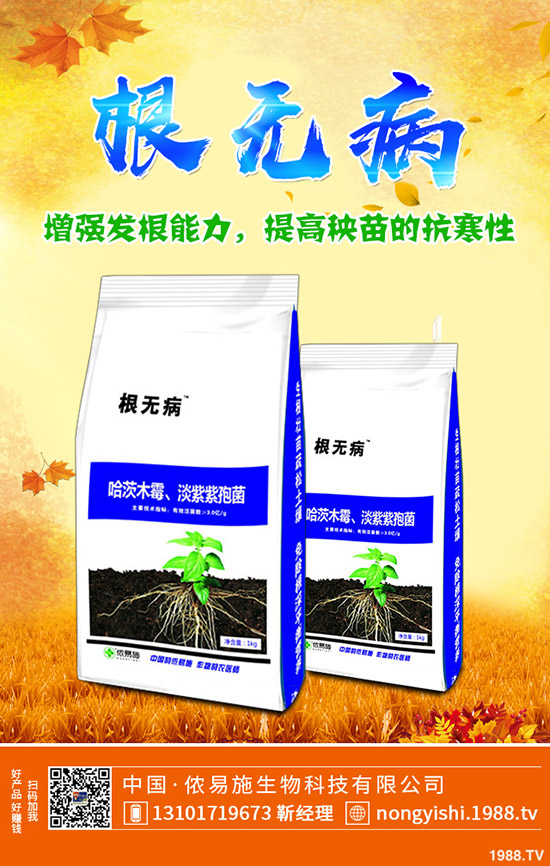     二銨冬儲(chǔ)市場(chǎng)緩慢！今日磷酸二銨主流出廠報(bào)價(jià)一覽2019-11-4