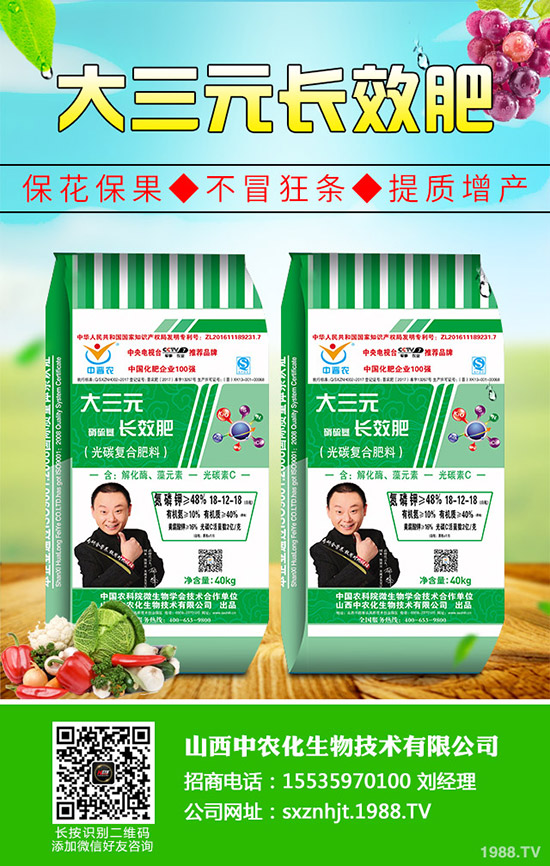     復(fù)合肥冬儲行情下沉！2019年11月4日今日復(fù)合肥出廠參考報一覽！