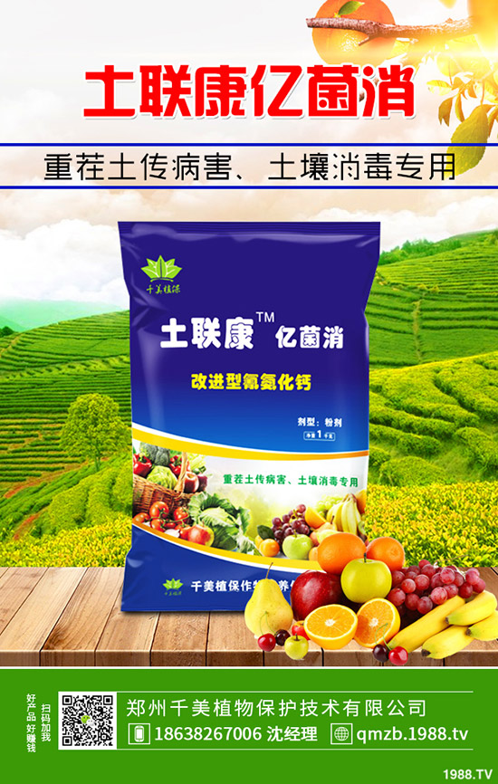     尿素跌出今年價(jià)！近期最新尿素行情綜合分析2019-11-4