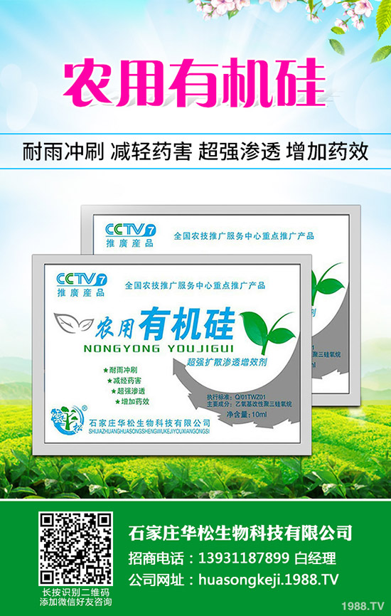 �ʲݵķNֲ��������Щ���ʲݷNֲ��Ҫʲô�ӭh(hu��n)����