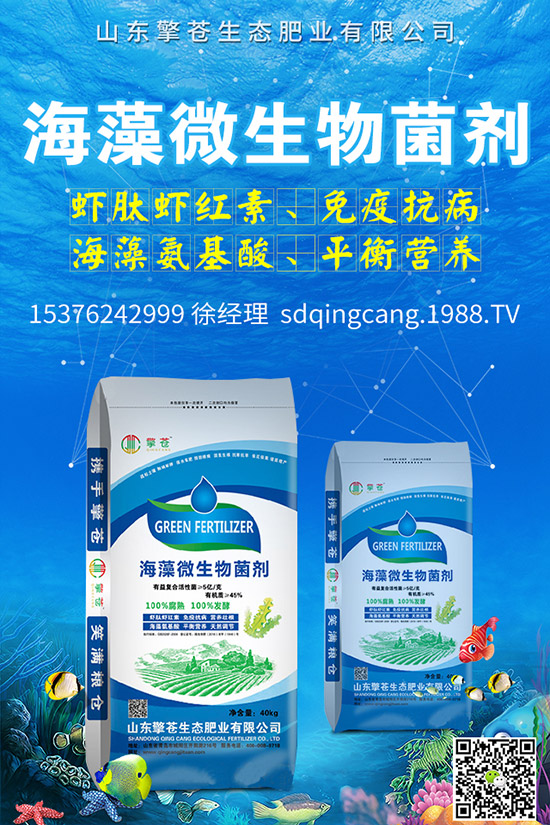     尿素價(jià)格跌出新價(jià)！2019年11月初尿素行情走勢(shì)分析及后市預(yù)測(cè)！