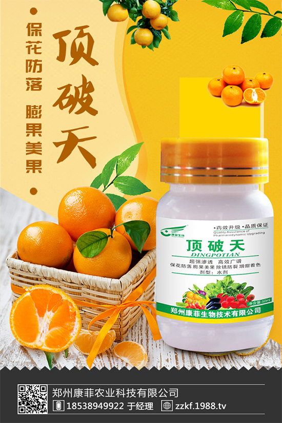 花椰菜軟腐病危害來(lái)襲，有沒(méi)有好的防治方法？快來(lái)看看吧！