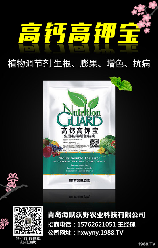 С�����s��ʲô�r(sh��)����θ�����С���s�ݽ�Q������