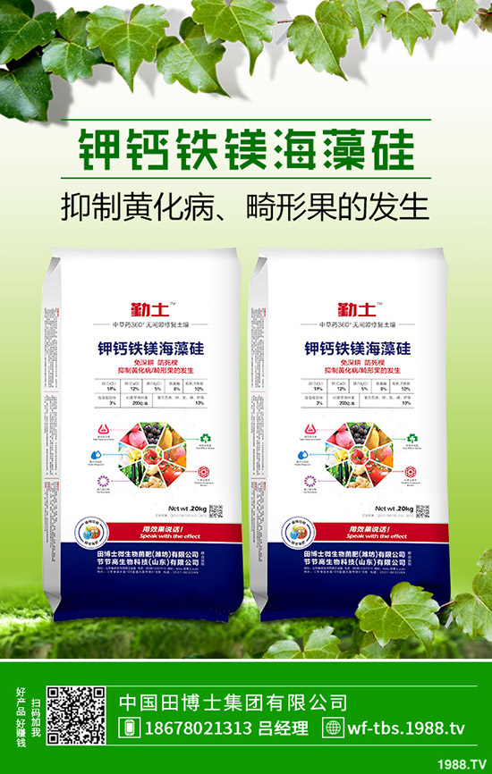     2019年11月8日最新鉀肥行情走勢預(yù)測，氯化鉀出廠報價一覽