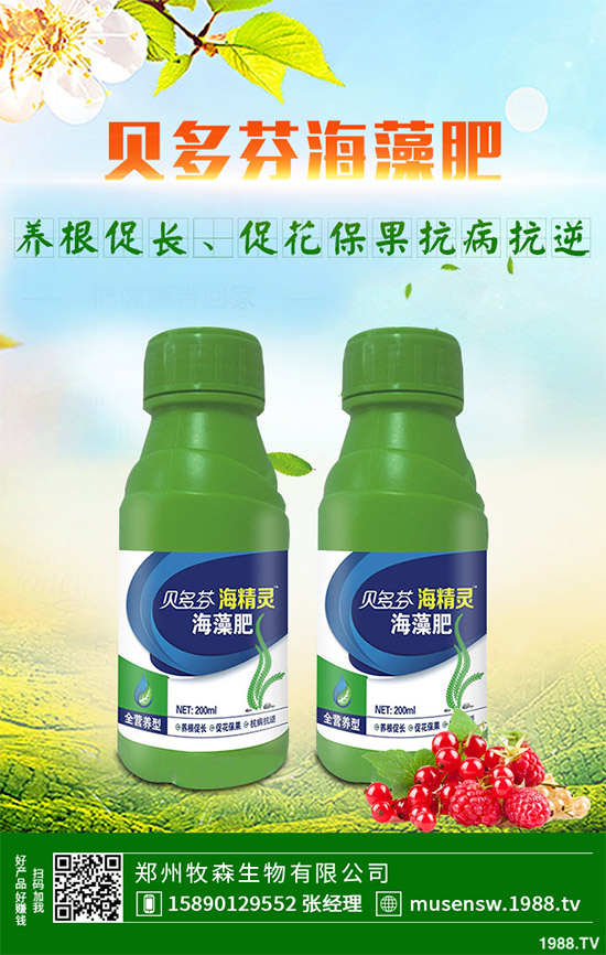 ���E��ʲô�@ô���˚gӭ�����E���Ј��������