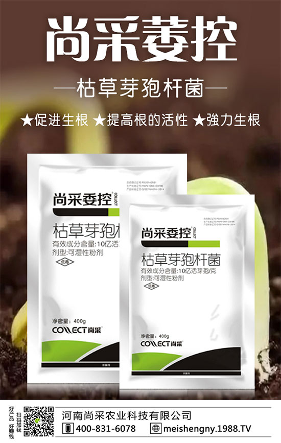 �����ݮ���ɼ����������������ݮʩ��Ҫ�c(di��n)��