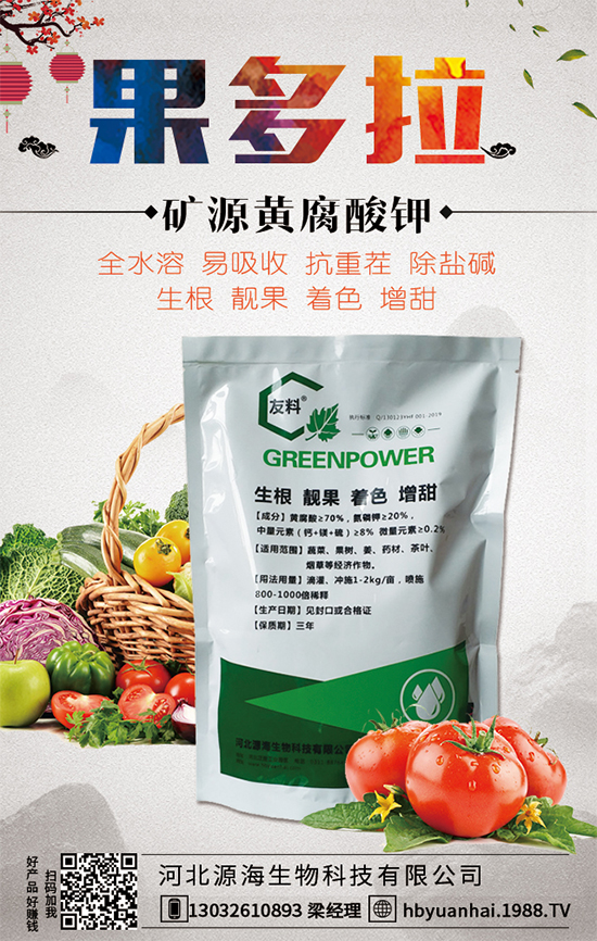 ������Ճr(ji��)������X(qi��n)һ����2020�����Nֲǰ�������