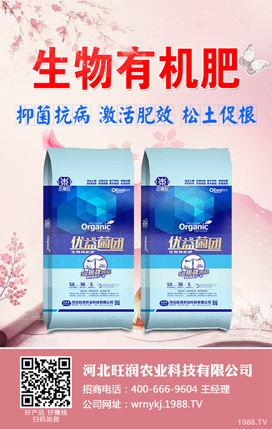 大棚韭菜該怎么種？冬季大棚韭菜種植技術(shù)要點(diǎn)