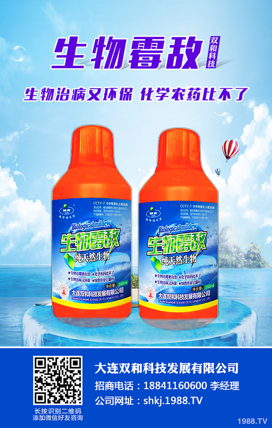 平菇種植其實(shí)不難，注意這幾點(diǎn)，產(chǎn)量會(huì)很高！