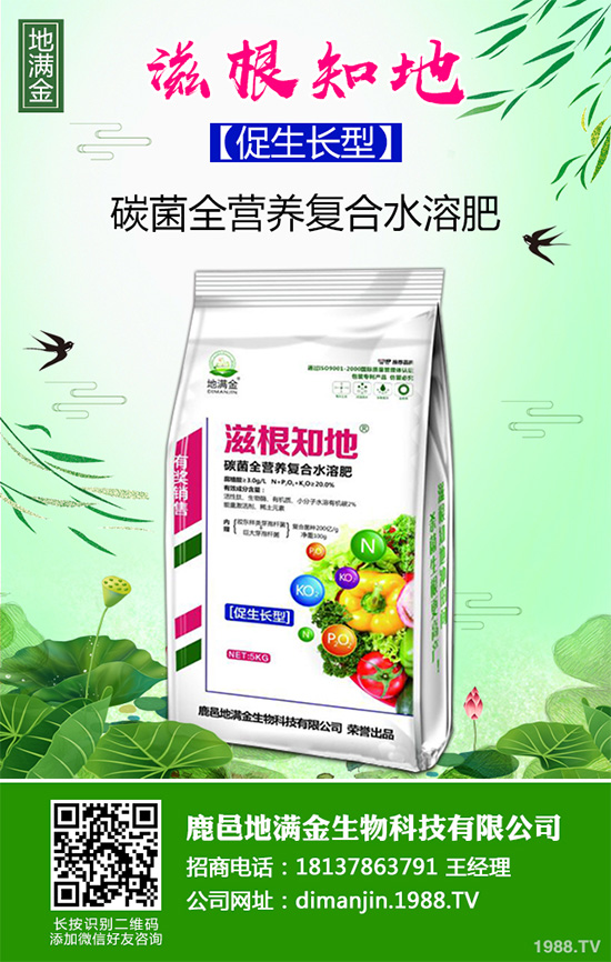 ���G�Ӷ����Xһ����2020�����G�ӷNֲǰ����Ч�����