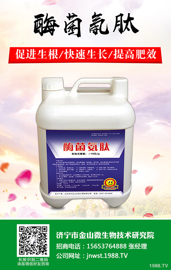 ���Ә�(sh��)��ô�޼������Ә�(sh��)���޼���������Щ����