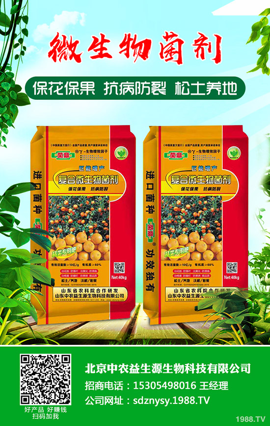     二銨冬儲(chǔ)何時(shí)打破僵局！2019-12-13磷酸二銨行情走勢(shì)預(yù)測(cè)！