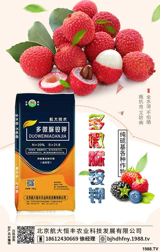 茄子早衰是什么原因？哪些方法能夠預(yù)防茄子早衰？