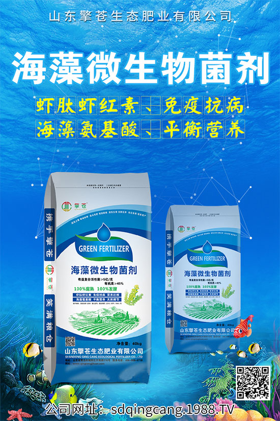 ������˥ʲô�Y����������˥�ķ��δ�ʩ��