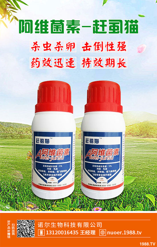 ��䚢�x���r(ji��)��