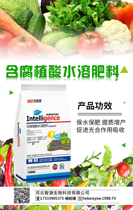 金桔價(jià)格多少錢一斤？金桔種植成本利潤分析?。ǜ椒N植環(huán)境要求）