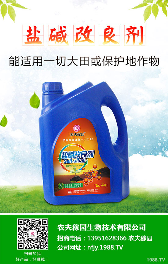 什么是蔓荊子？蔓荊子的功效作用及用法禁忌