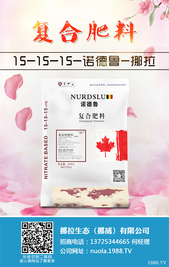 蔓荊子該怎么用？中藥材蔓荊子的用法大全