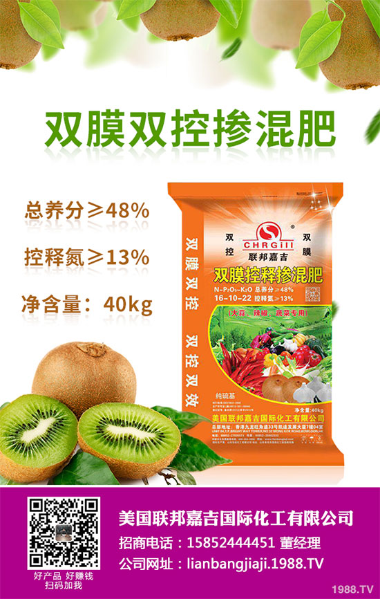 貢菊花該如何栽培？貢菊花高產(chǎn)栽培技術(shù)