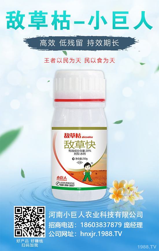 無花果種植行情怎么樣？如果能實現(xiàn)種植高產(chǎn)？