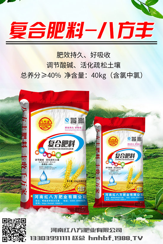 吃蘑菇有什么好處？蘑菇的營養(yǎng)價(jià)值及功效作用